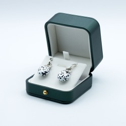 Les boucles d'oreilles dalmatien dans la boîte.